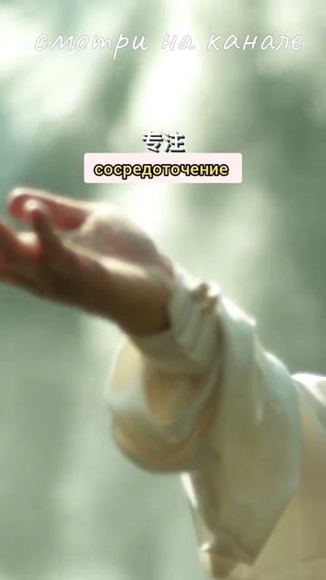 Тайцзи и природа — наслаждайтесь медленным движением