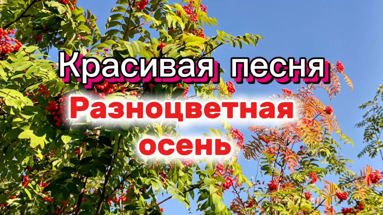 Красивая песня РАЗНОЦВЕТНАЯ ОСЕНЬ.