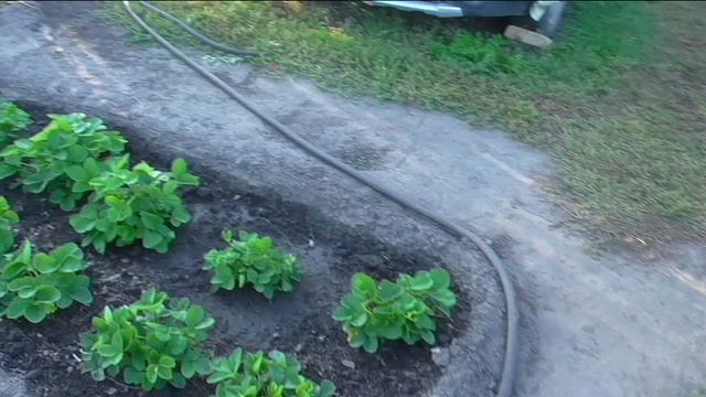 Работы на участке 6 сентября