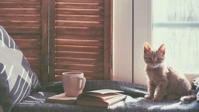 Утреннее настроение ☕Плейлист для хорошего начала дня и настроения