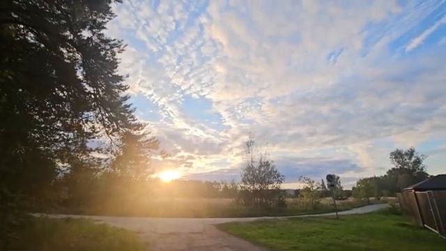 БЕЗОТКАЗНАЯ МАМОЧКА