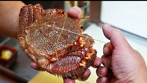 волосатый краб из Японии