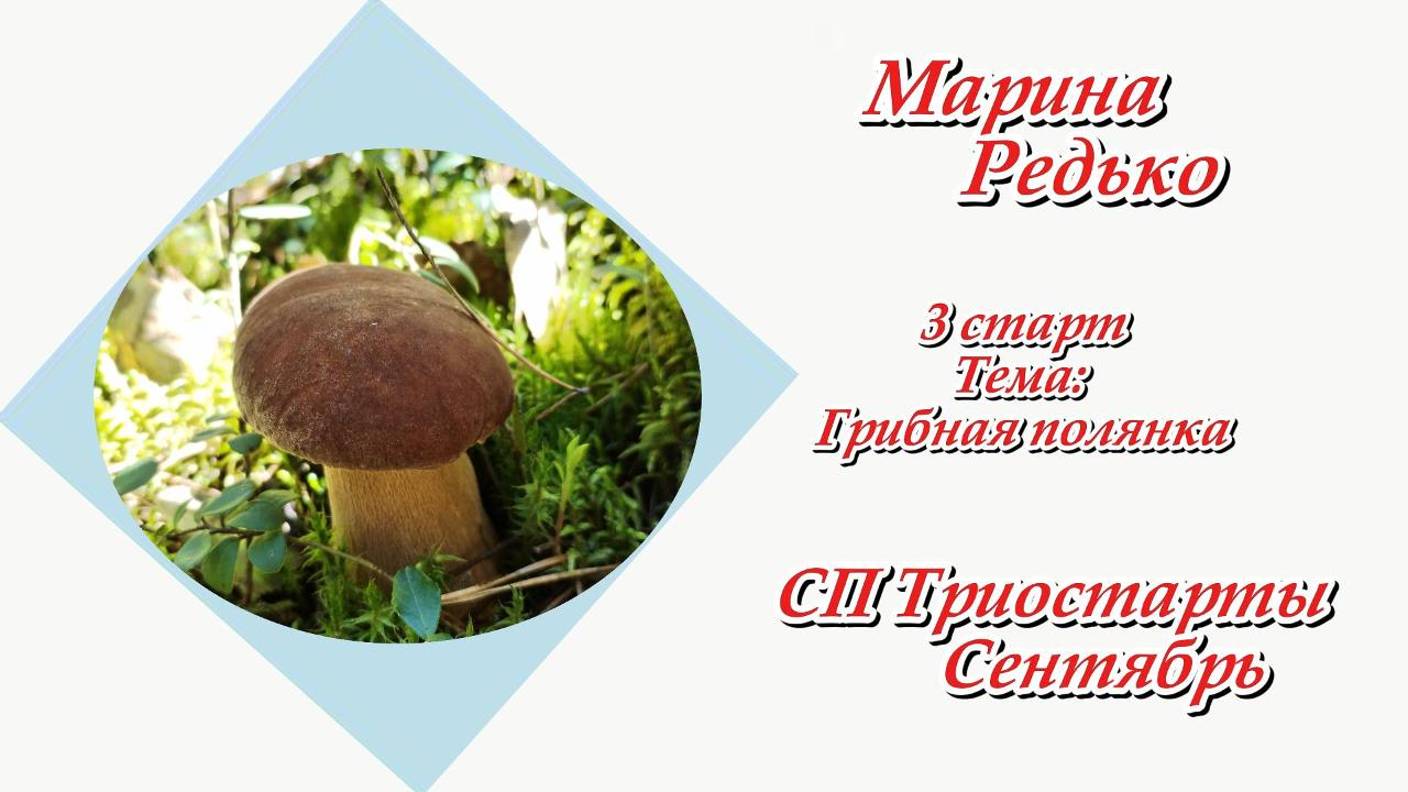 СП "Триостарты. Сентябрь." / 3 старт