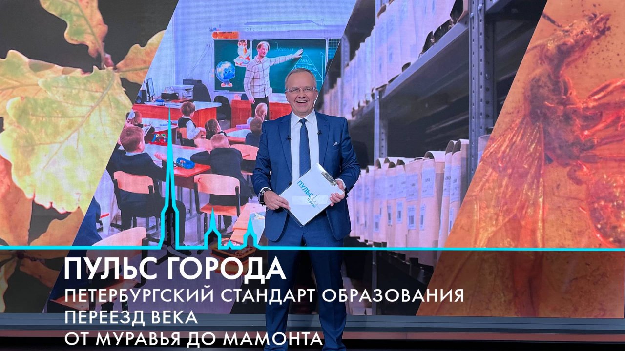 Пульс города. Петербургский стандарт образования, переезд исторического архива, предчувствие осени