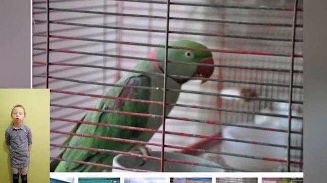 СТАНЦИЯ ЮНАТОВ СОФИЯ