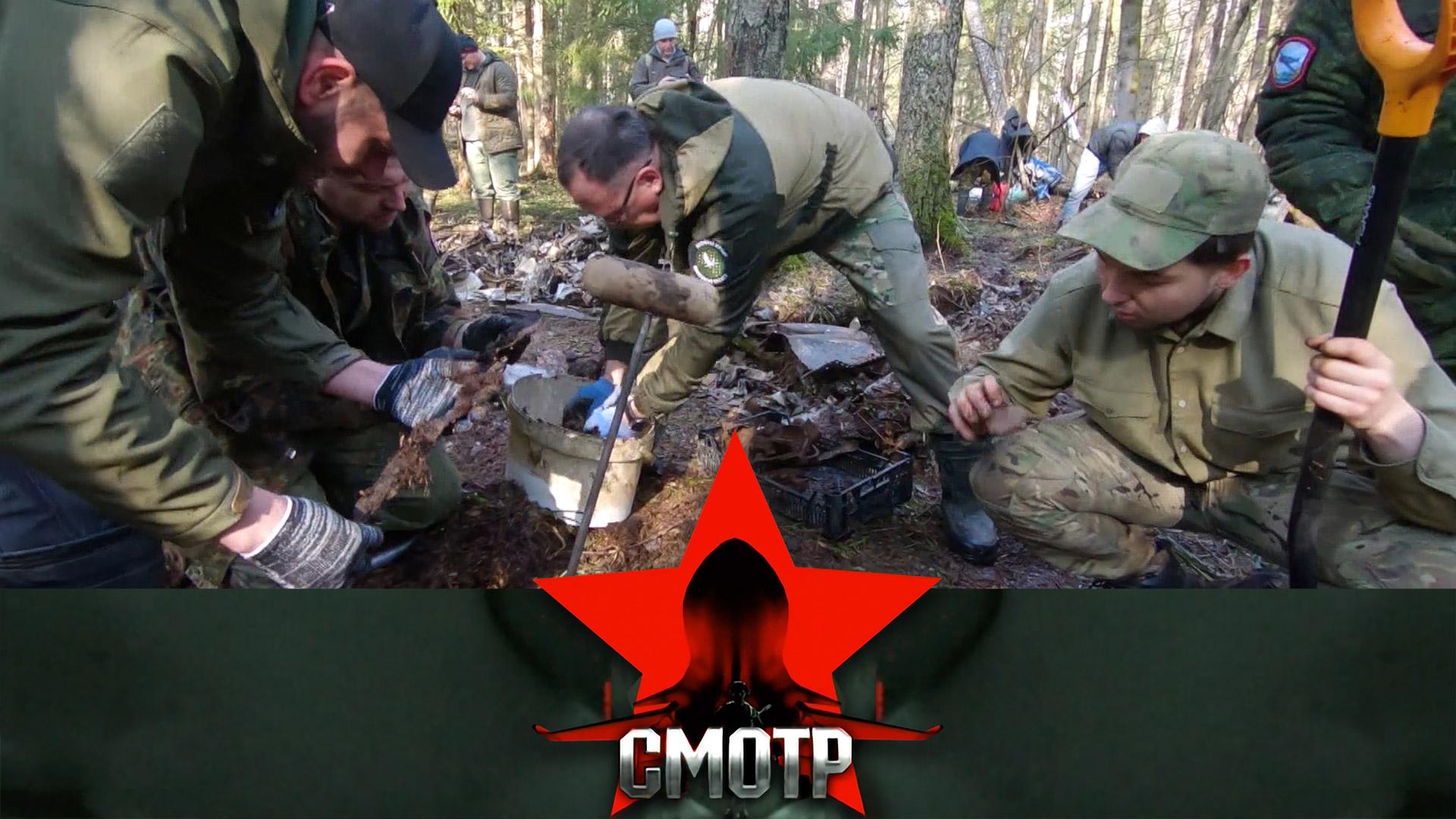 Возвращение имен воинов Великой Отечественной: полевой выход поисковиков ДОСААФ России | «Смотр»