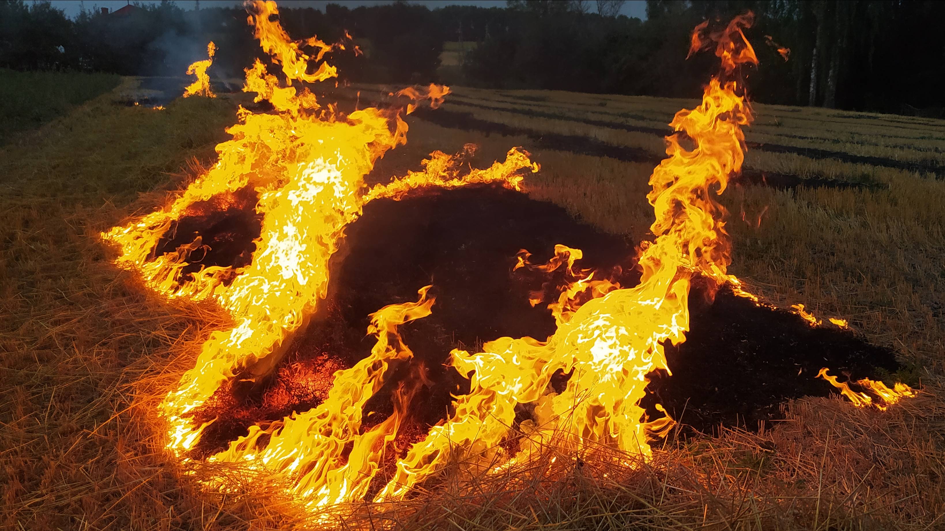 ВОТ И ЛЕТО ПРОШЛО