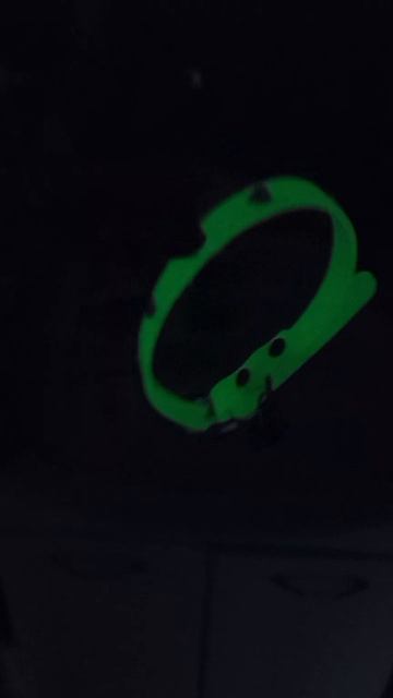 Ошейник для котов и кошек который светиться в темноте