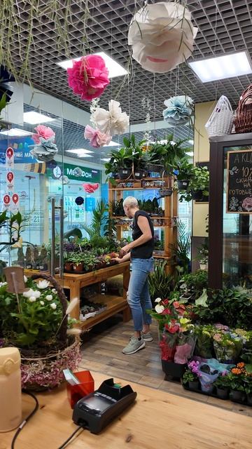 Растения, про которые можно забыть. Полить нельзя залить.