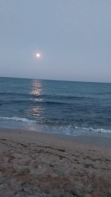 06-09-2025. Лунная дорожка 🌛🌙