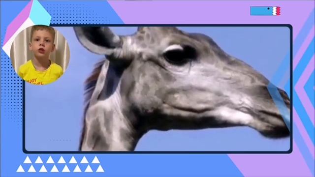 Наш Краснодар.  Рассказ о своем городе.