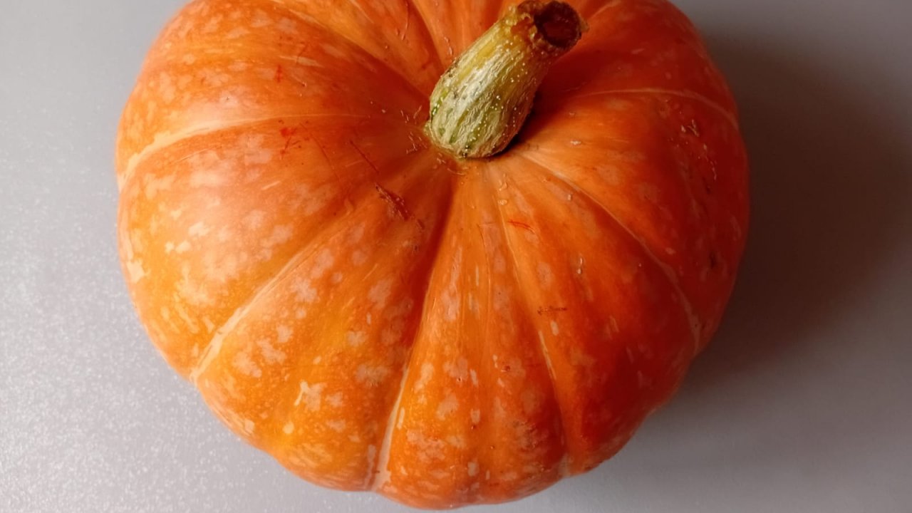 ТЫКВА ТУШЕННАЯ с ОВОЩАМИ, МЯСОМ и СПЕЦИЯМИ