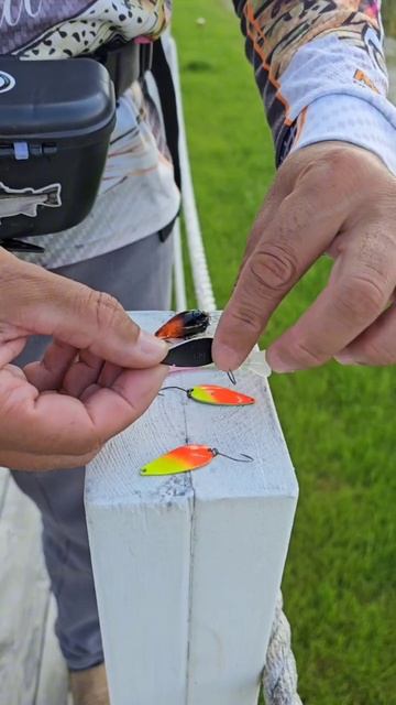 ТОП приманок АКАРА для ловли форели