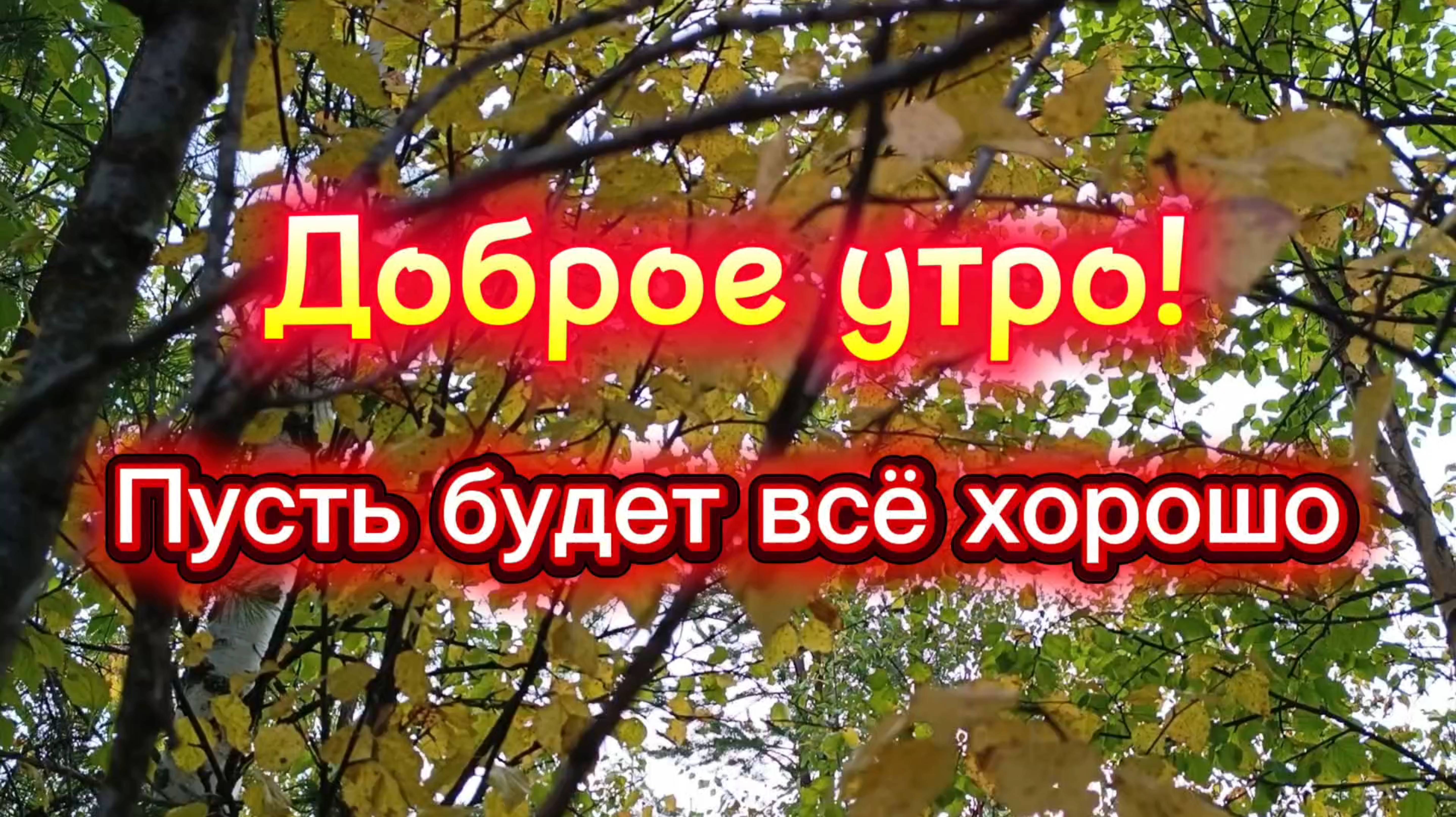 С ДОБРЫМ УТРОМ! Песня Доброе утро.