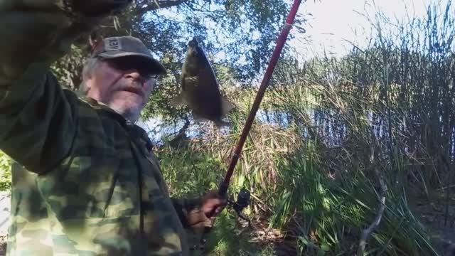 06-09-2025. Жизнь в Деревне: Что сегодня - Рыбалка по чёрному