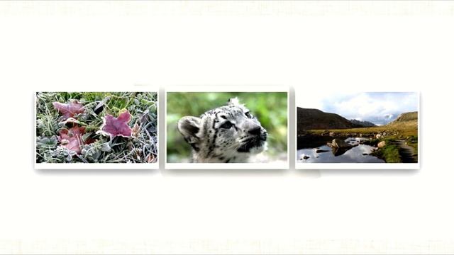 Plu-Ton  - Wonderful Euphoria