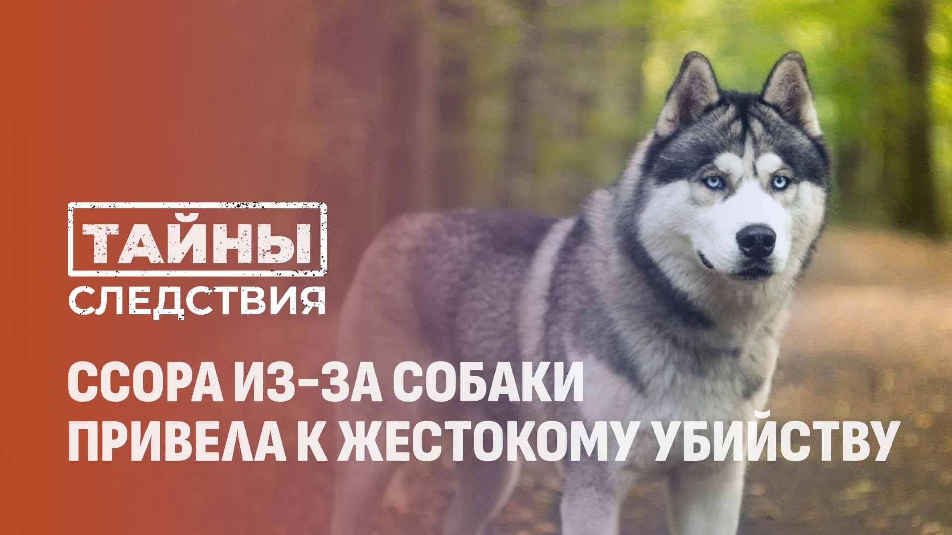 Убийство в Новолукомле: как ссора из-за собаки обернулась трагедией? Тайны следствия