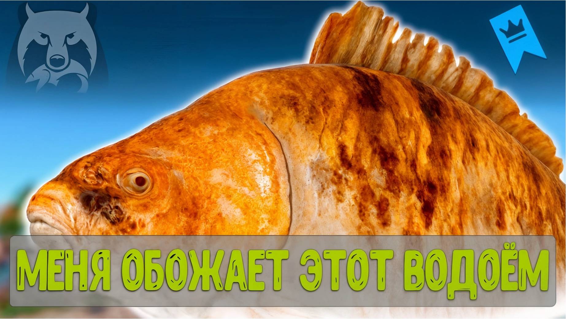 Янтарка меня просто обожает и вот что происходит #рр4