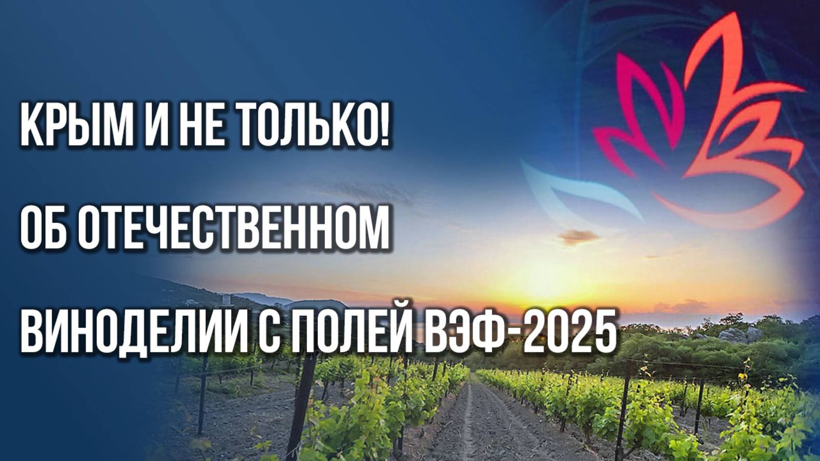 История отечественного виноделия и выбор покупателя: площадка «Виноград» на ВЭФ-2025