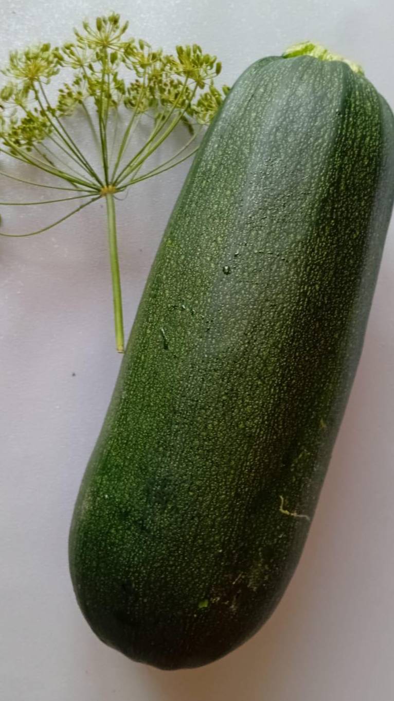 ОБАЛДЕННЫЕ КАБАЧКИ в КЛЯРЕ