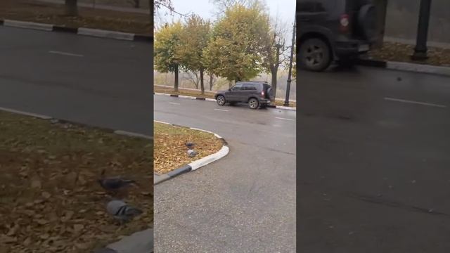 Набережная. Тамбов♥️. 2024г.