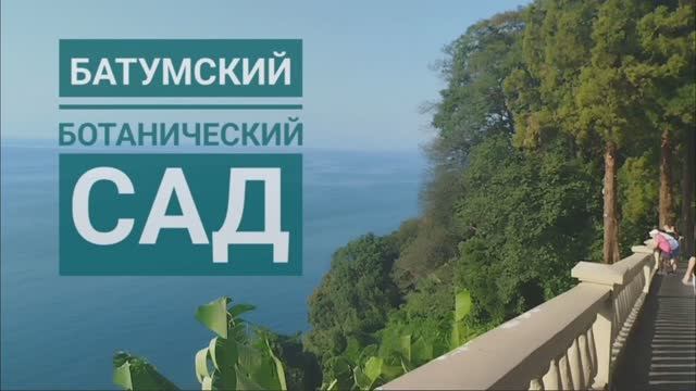 ✨Один день со мной✨ Гуляем по Батумскому Ботаническому Саду✨ Последний тёплый день☀ ✨