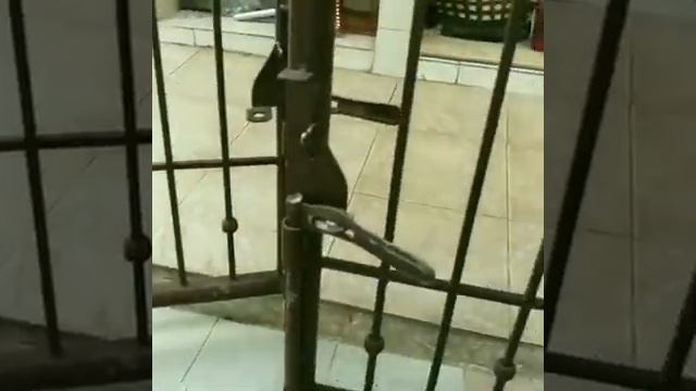 ПРИКОЛЫ ПРО ПОБЕГ ЖИВОТНЫХ.