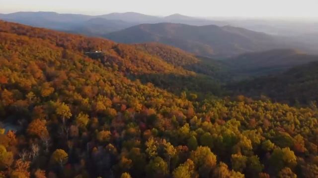 DNDM & Davvi & Umar Keyn - Angels (Orginal Mix)