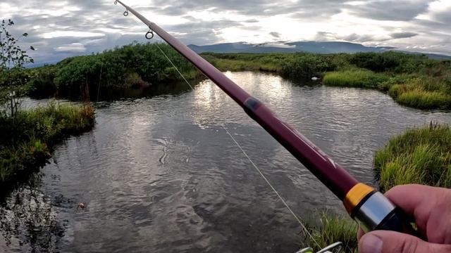 Камчатка 2025. Речка в тундре!