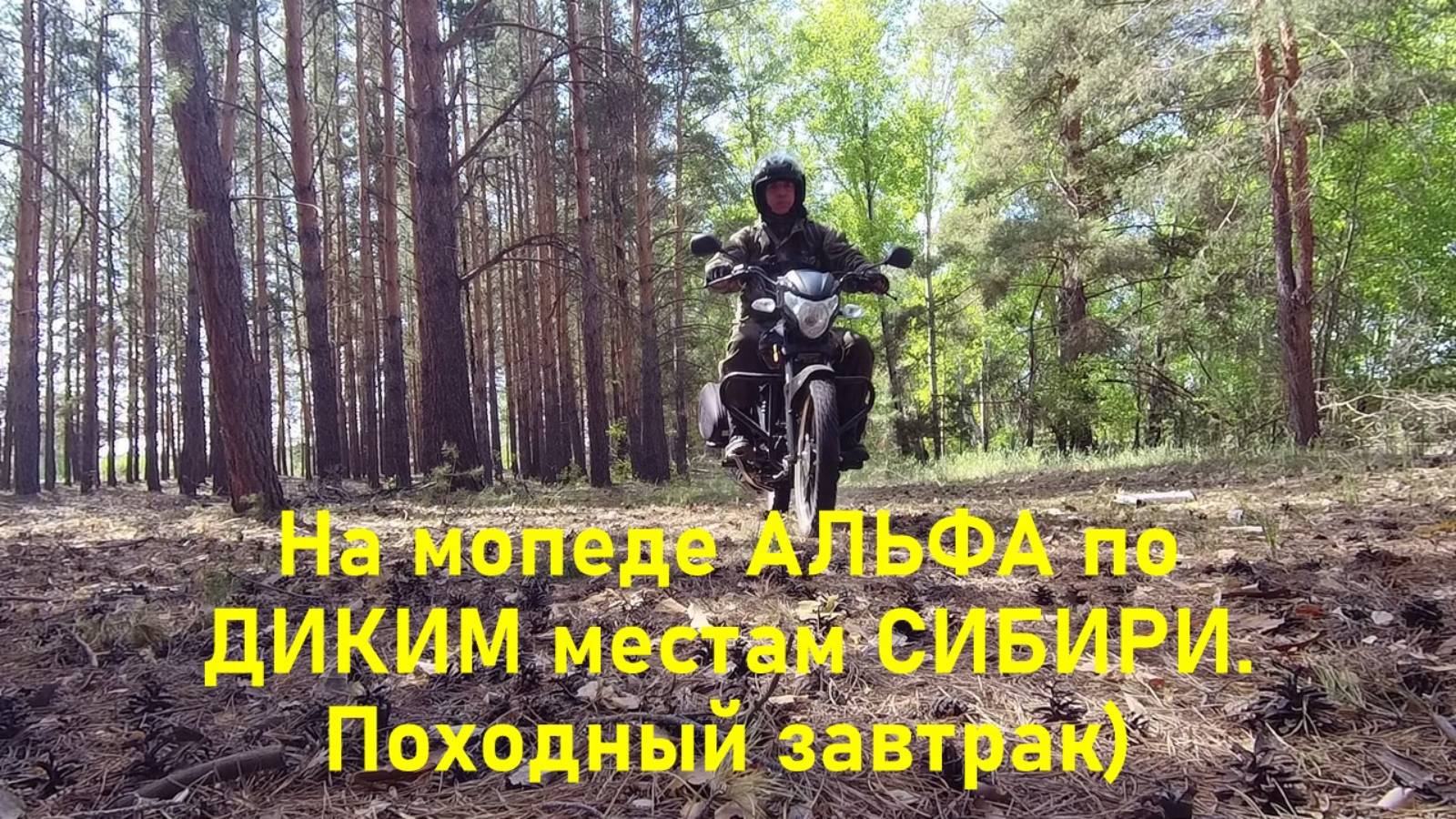 На мопеде Альфа по ДИКИМ местам СИБИРИ. Походный завтрак)