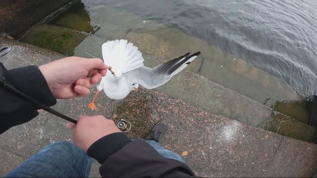 РЫБАЛКА НА ОКУНЯ И ЧАЙКУ😁😁😁 #спиннинг