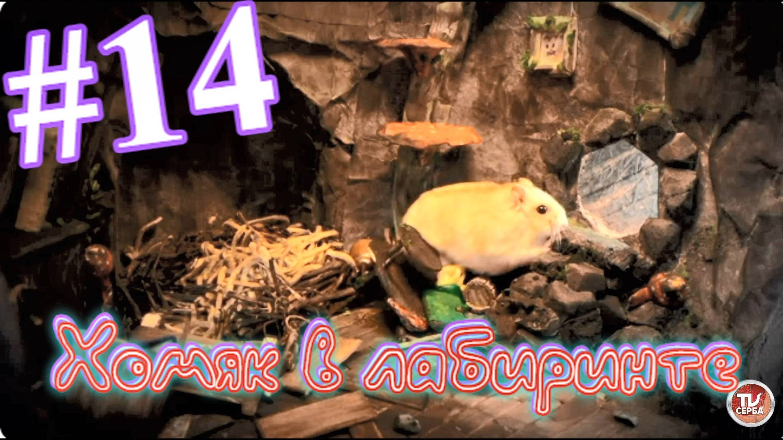 Хомяк в лабиринте (14 серия)