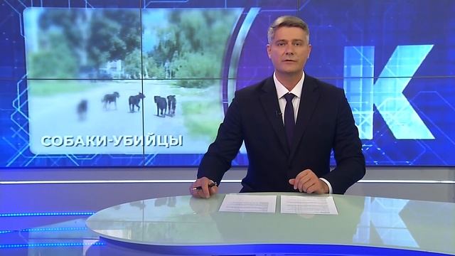 Новости Калининграда — итоги недели, 07 сентября 2025 каскад тв