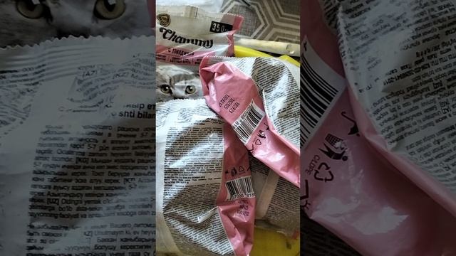 Купил в Дикси корм для кошек Чамми по супер цене, и колбасу