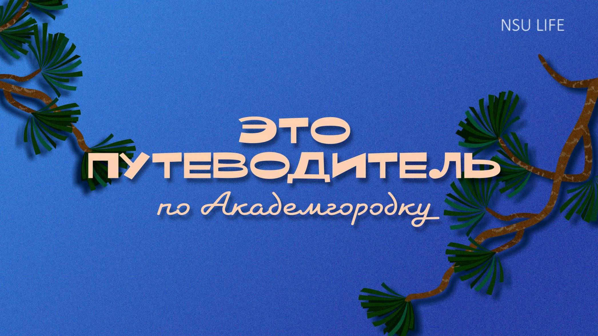 Путеводитель по Академгородку