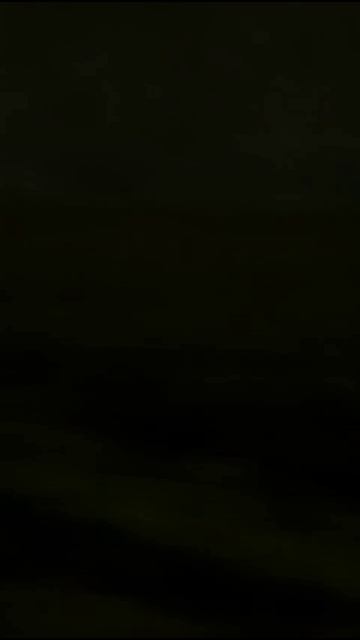 🦋 ШПИОНСКАЯ МИССИЯ БАБОЧКИ: что скрывает мир насекомых? | Скрытая камера