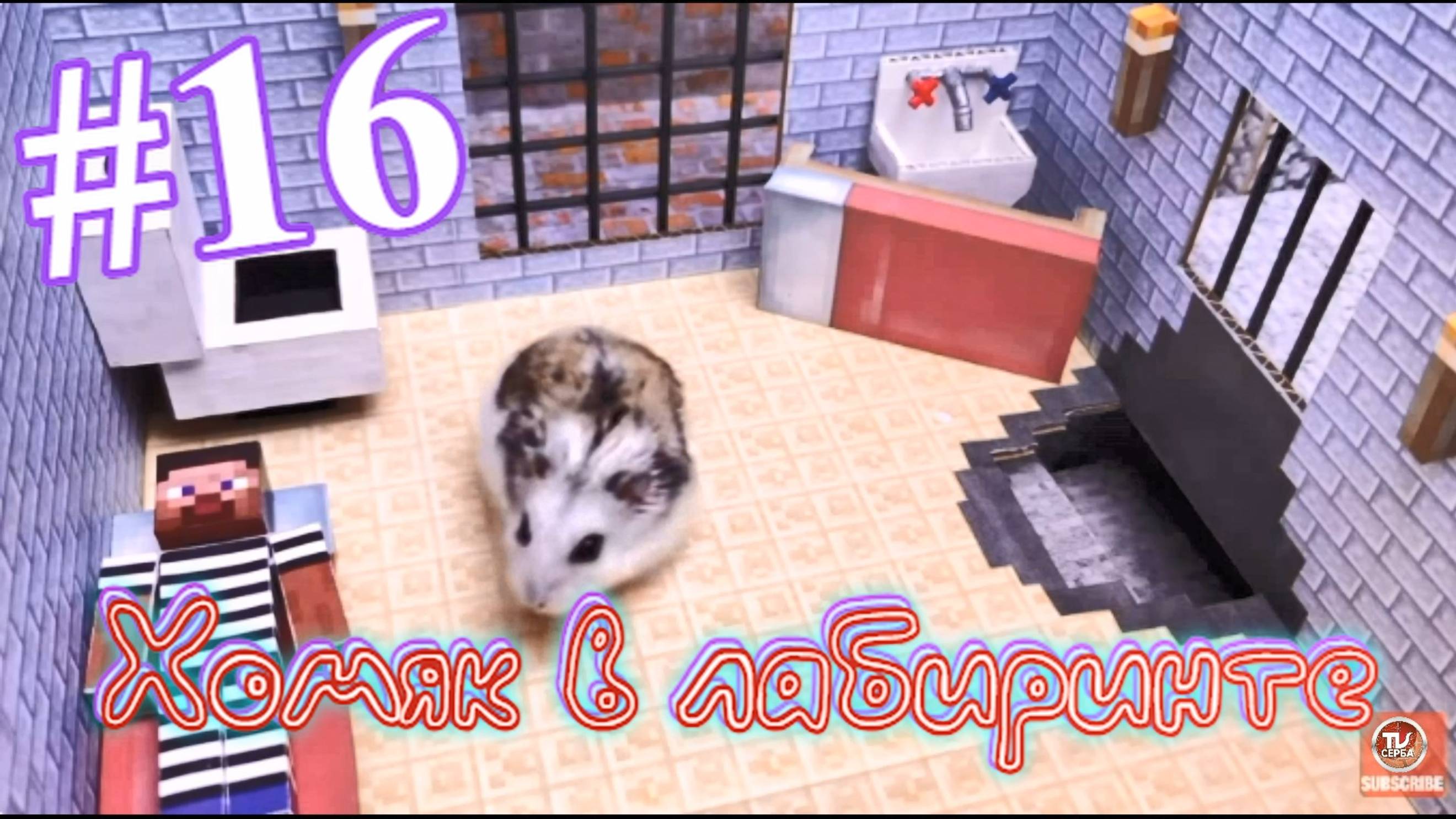 Хомяк в лабиринте (16 серия)