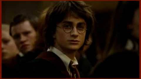 Какую ты хочешь любовь? (Лолита, Гарри Поттер) (NoMercy)