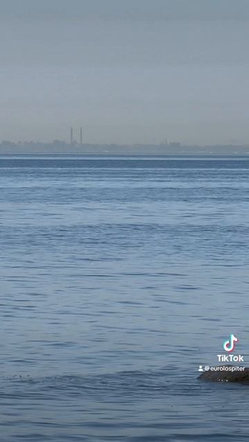 Финский залив