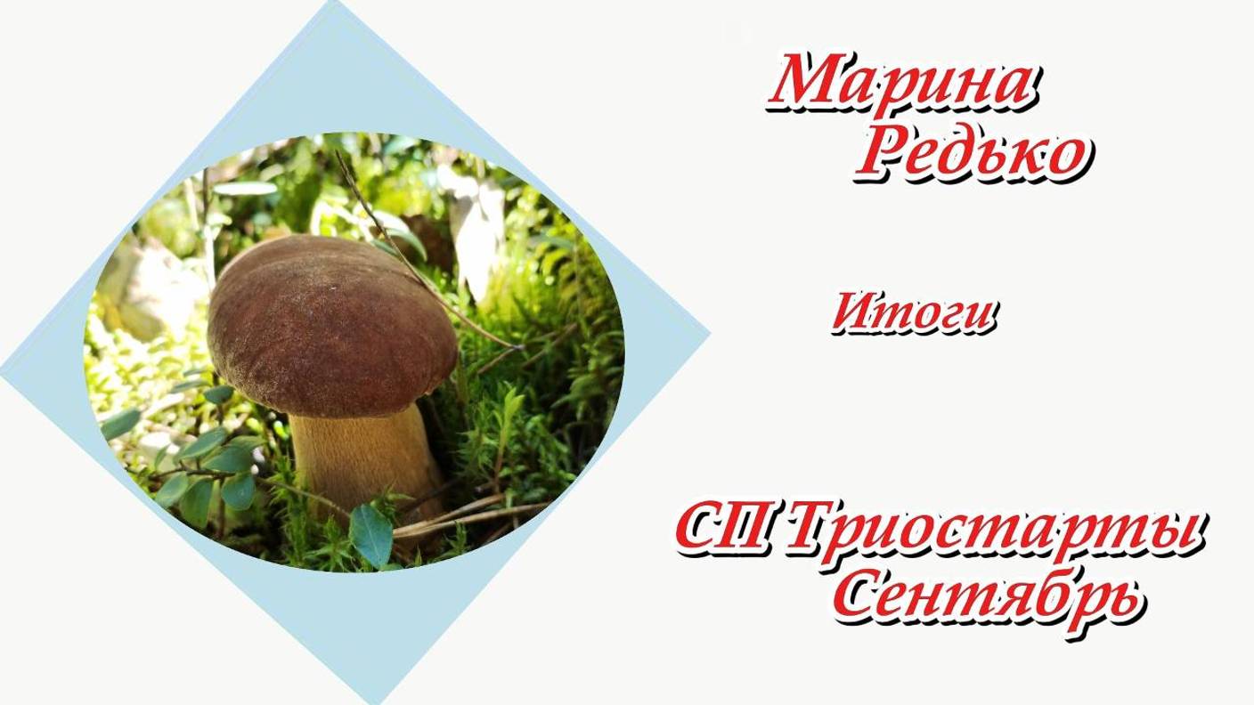 СП "Триостарты. Сентябрь." / Итоги