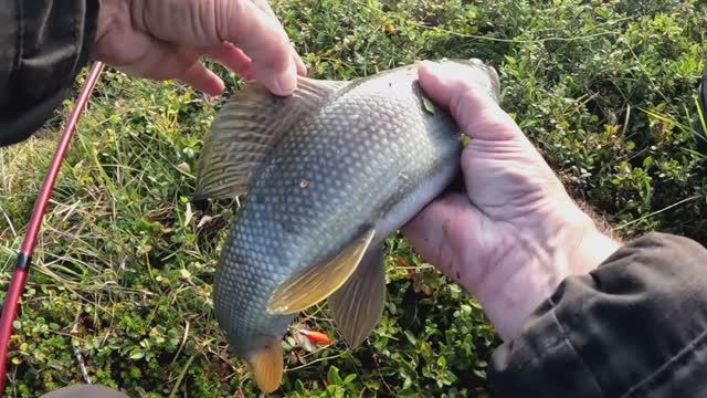 Камчатка 2025. На краю Корякского нагорья (3) - последние дни лета!