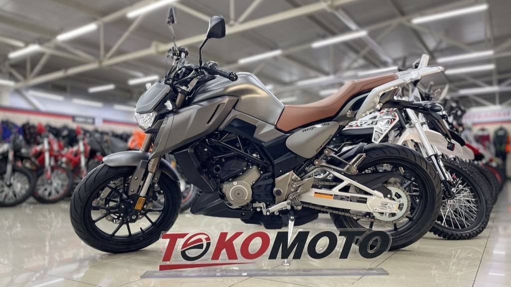 Мотоцикл Regulmoto ALIEN MONSTER 300 (Серый, , 100012-11)