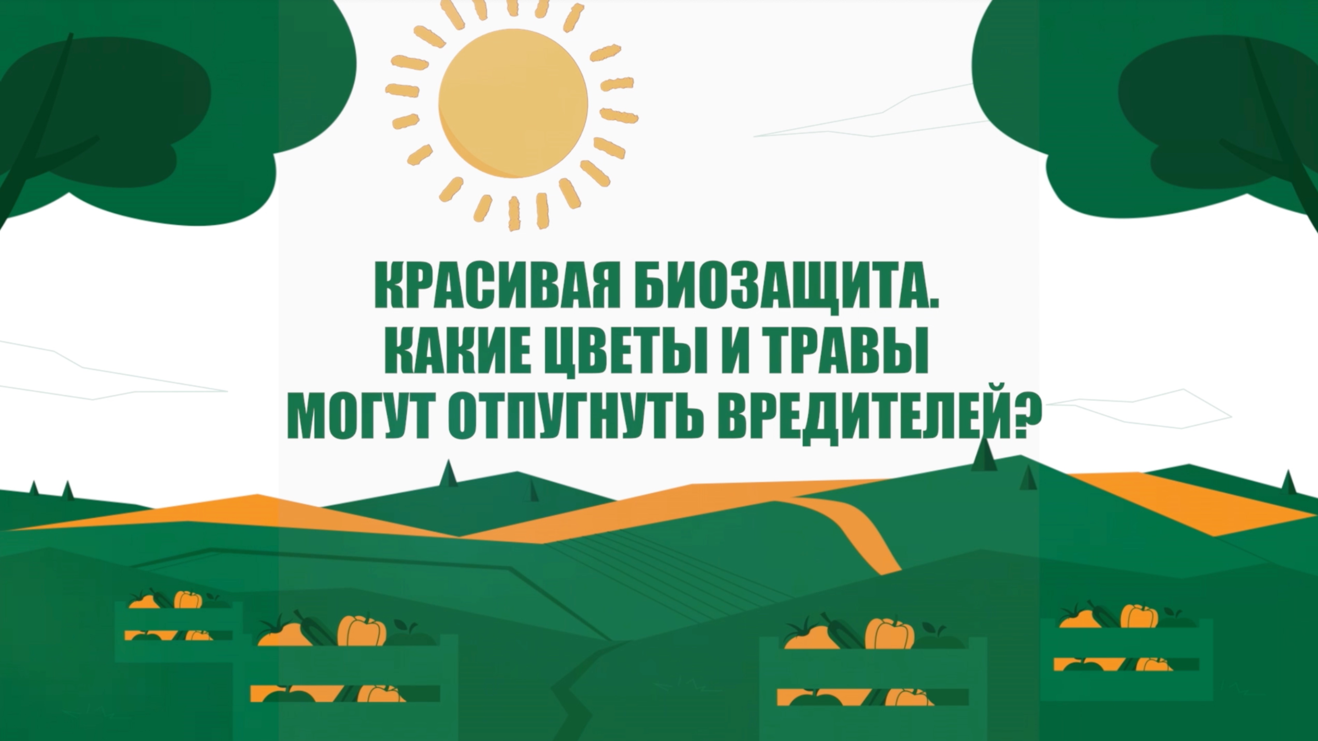 Какие цветы и травы могут отпугнуть вредителей