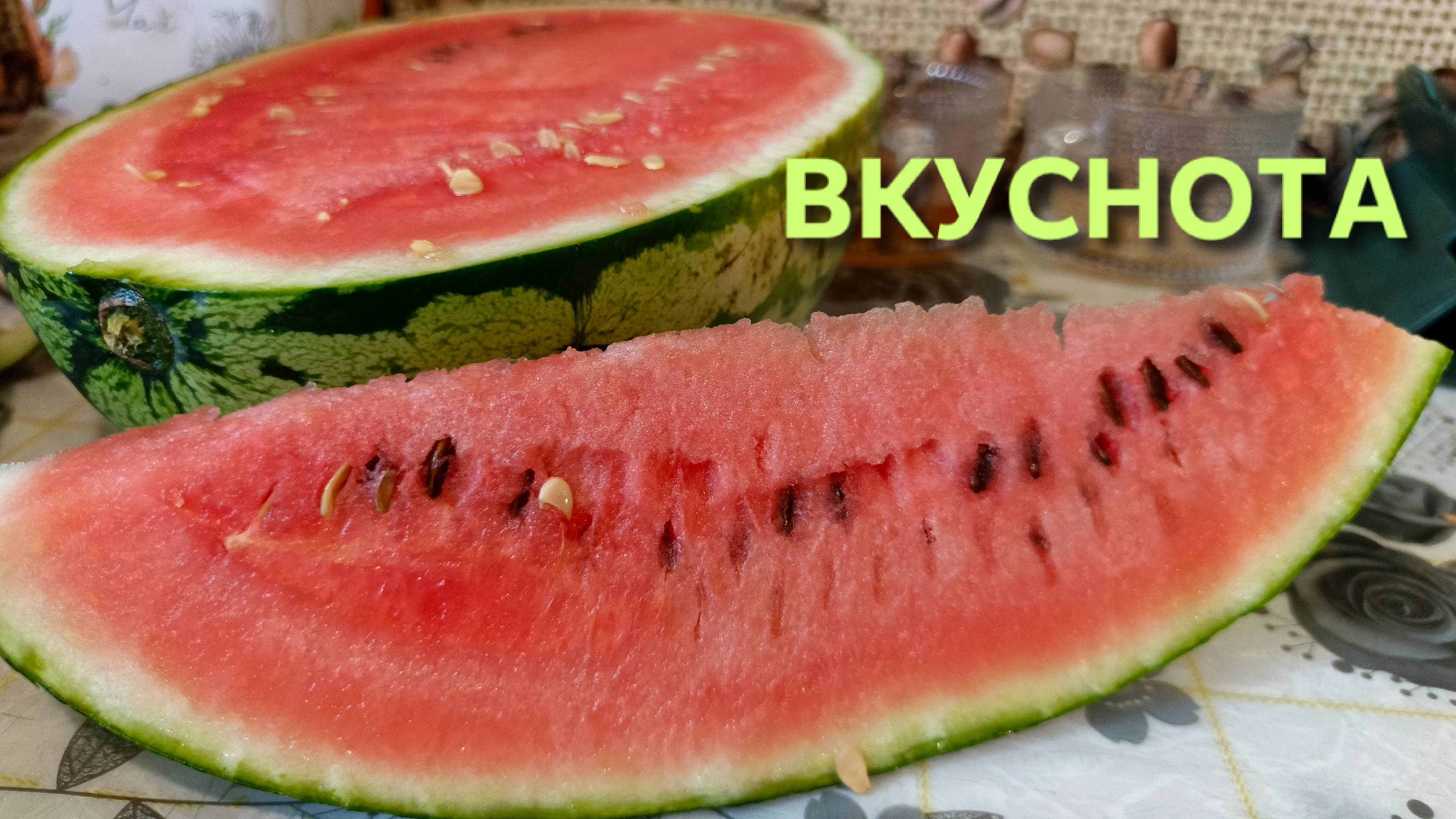 Как я вырастил арбузы у нас в Сибири делюсь своим опытом