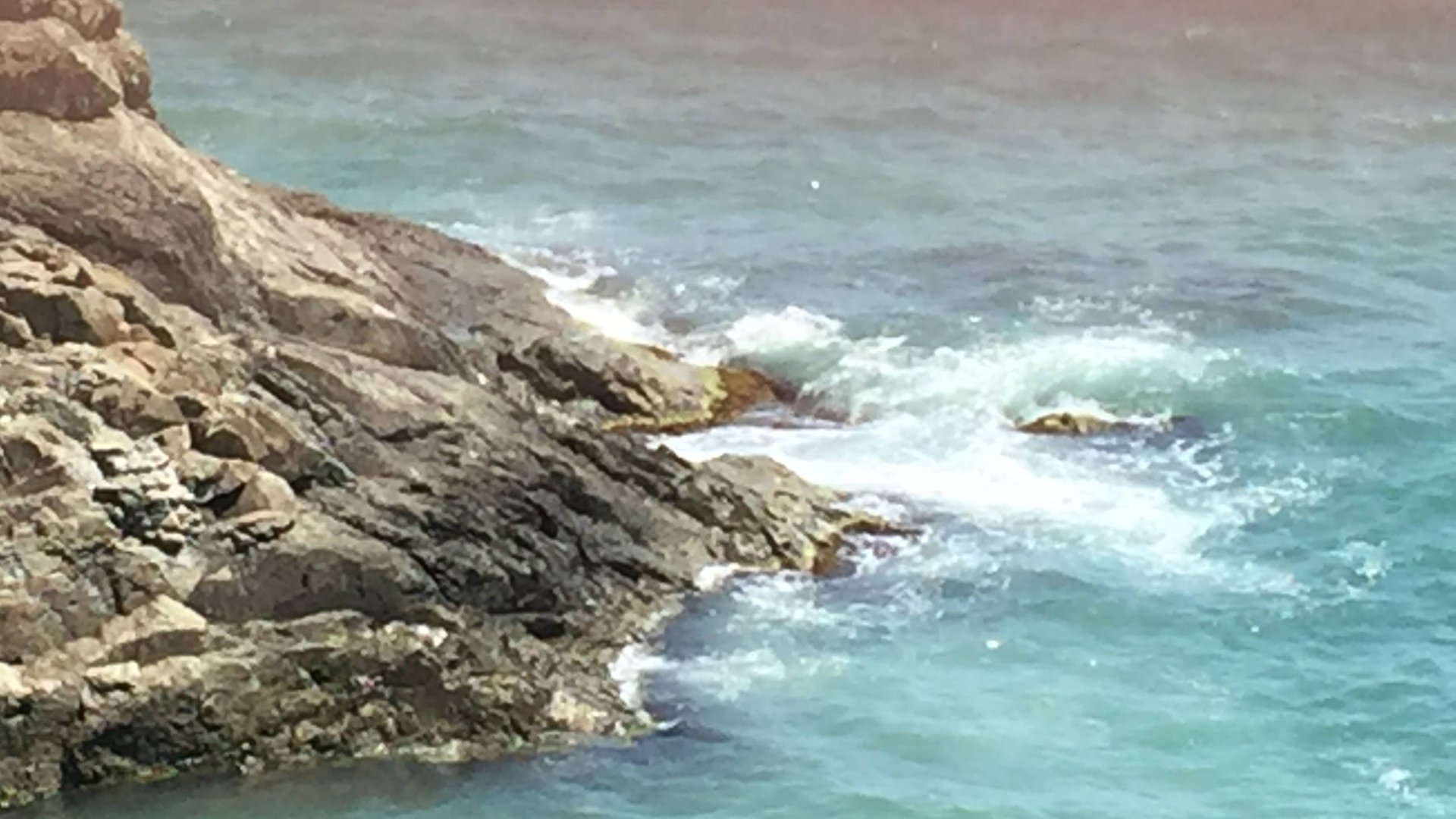 Утес Крым. Крабы в море. Подводный мир с музыкой. Последний вечер отдыха в Крыму