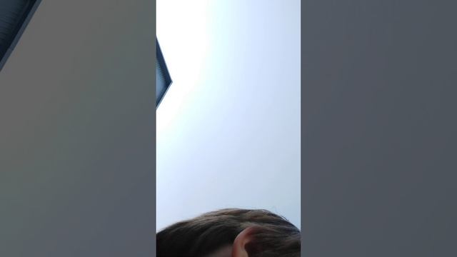 ограбление цветов Челлендж вторая часть часть вторая.mp4