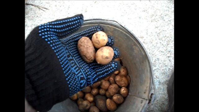 Как использовать мелкий картофель