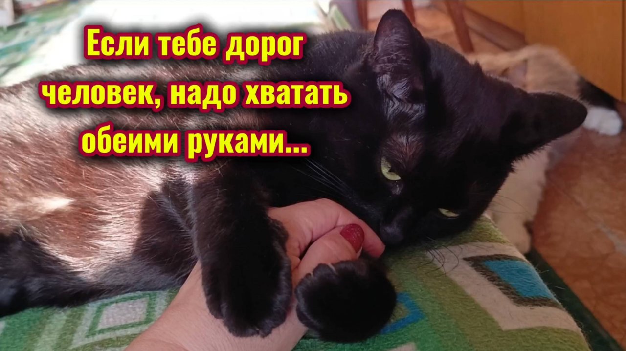 Цените тех, кто...