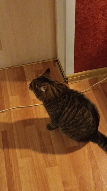 Барчук хочет в спальню