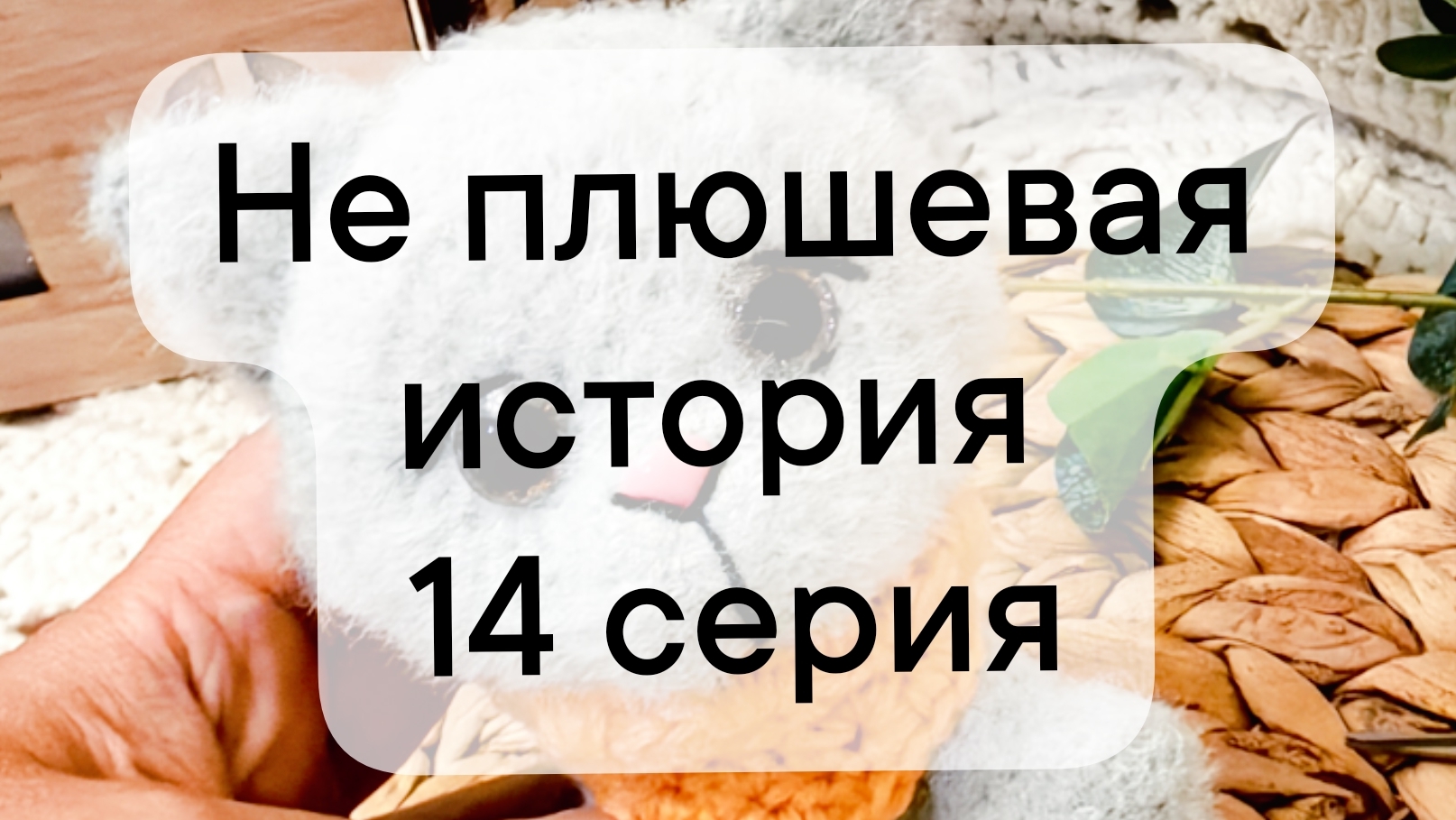 не плюшевая история 14 серия